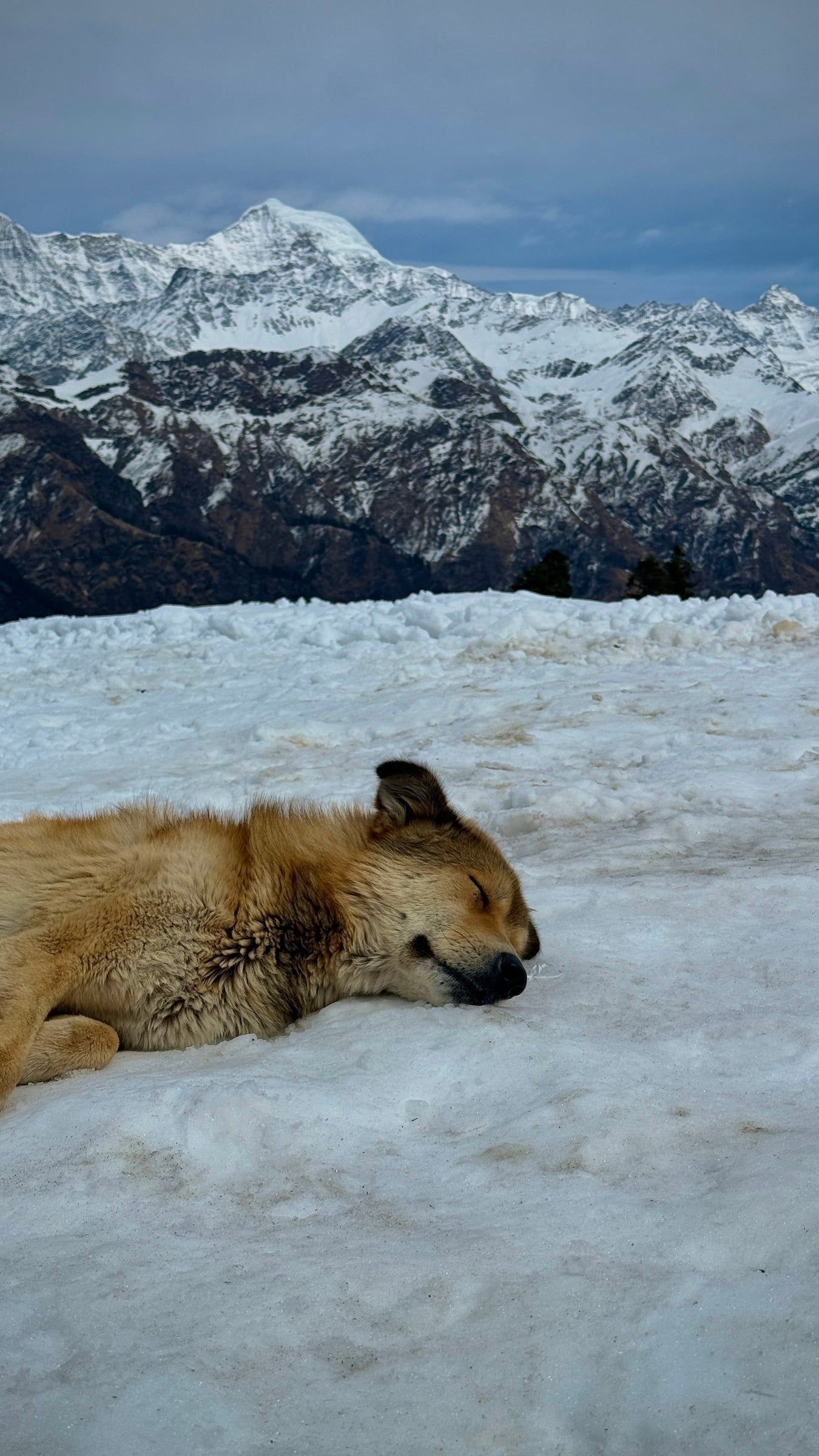 Gulabi Kantha Winter Trek thumbnail 10