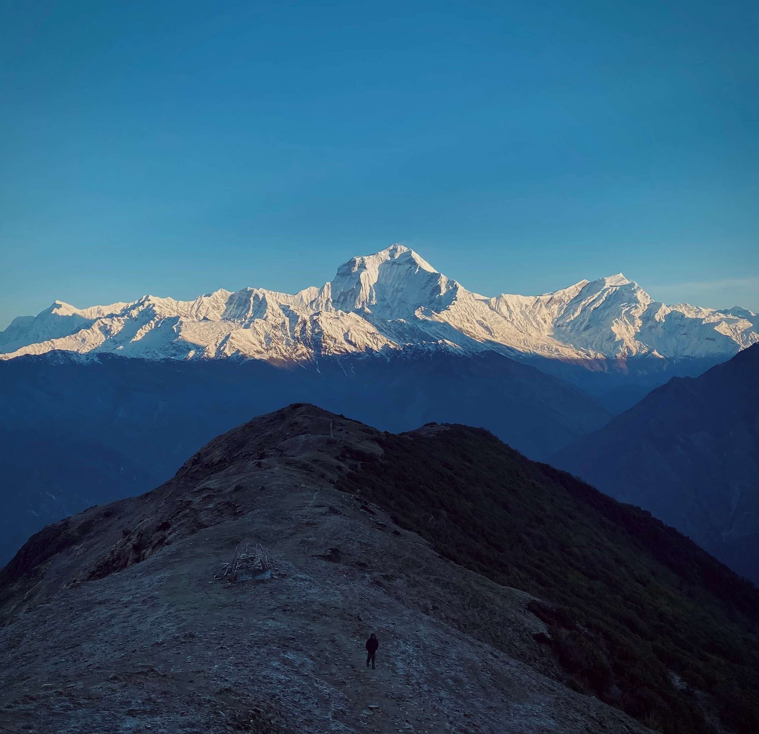 Khopra Ridge Trek thumbnail 6