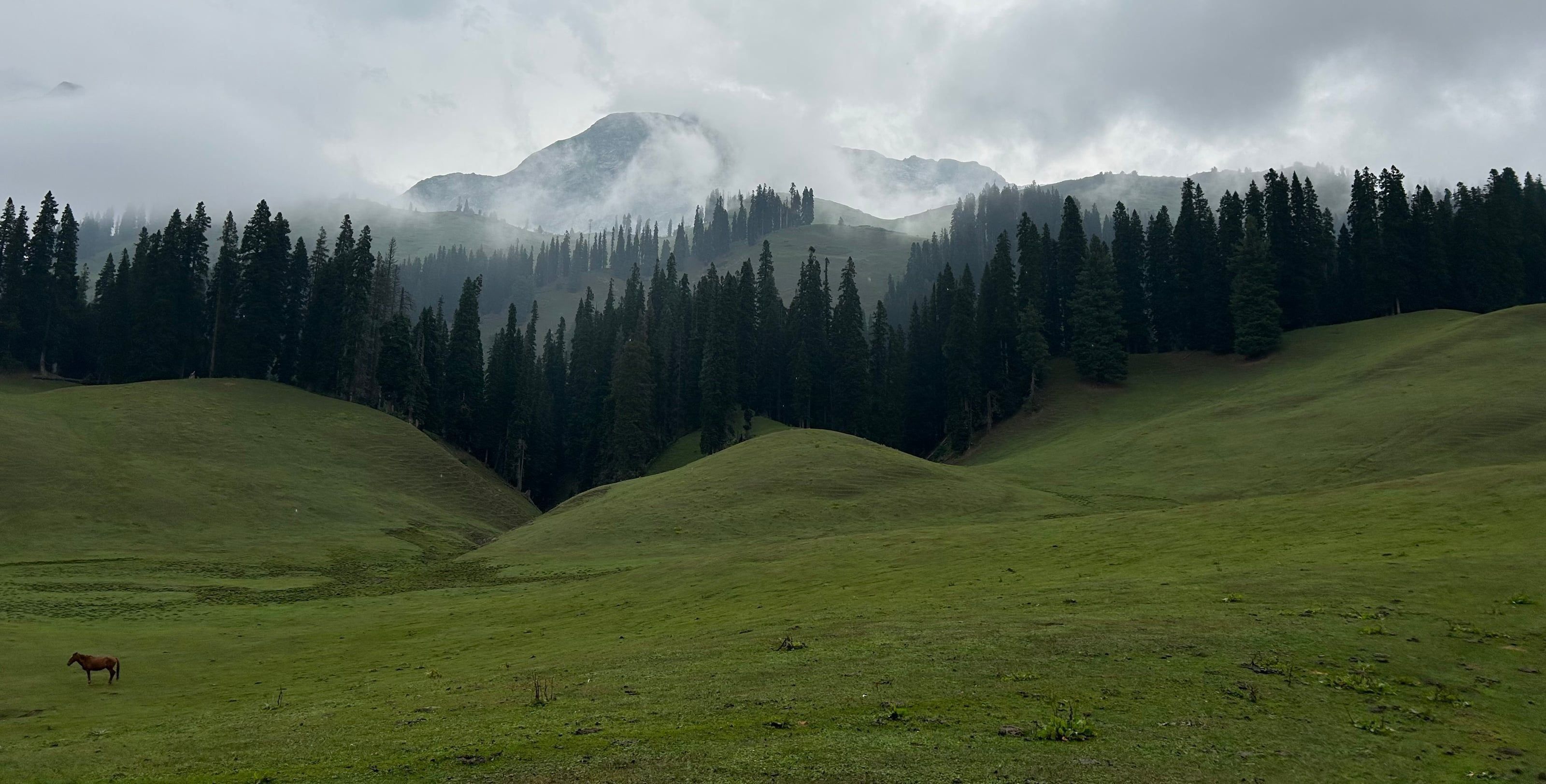 Nafran Valley Trek thumbnail 4