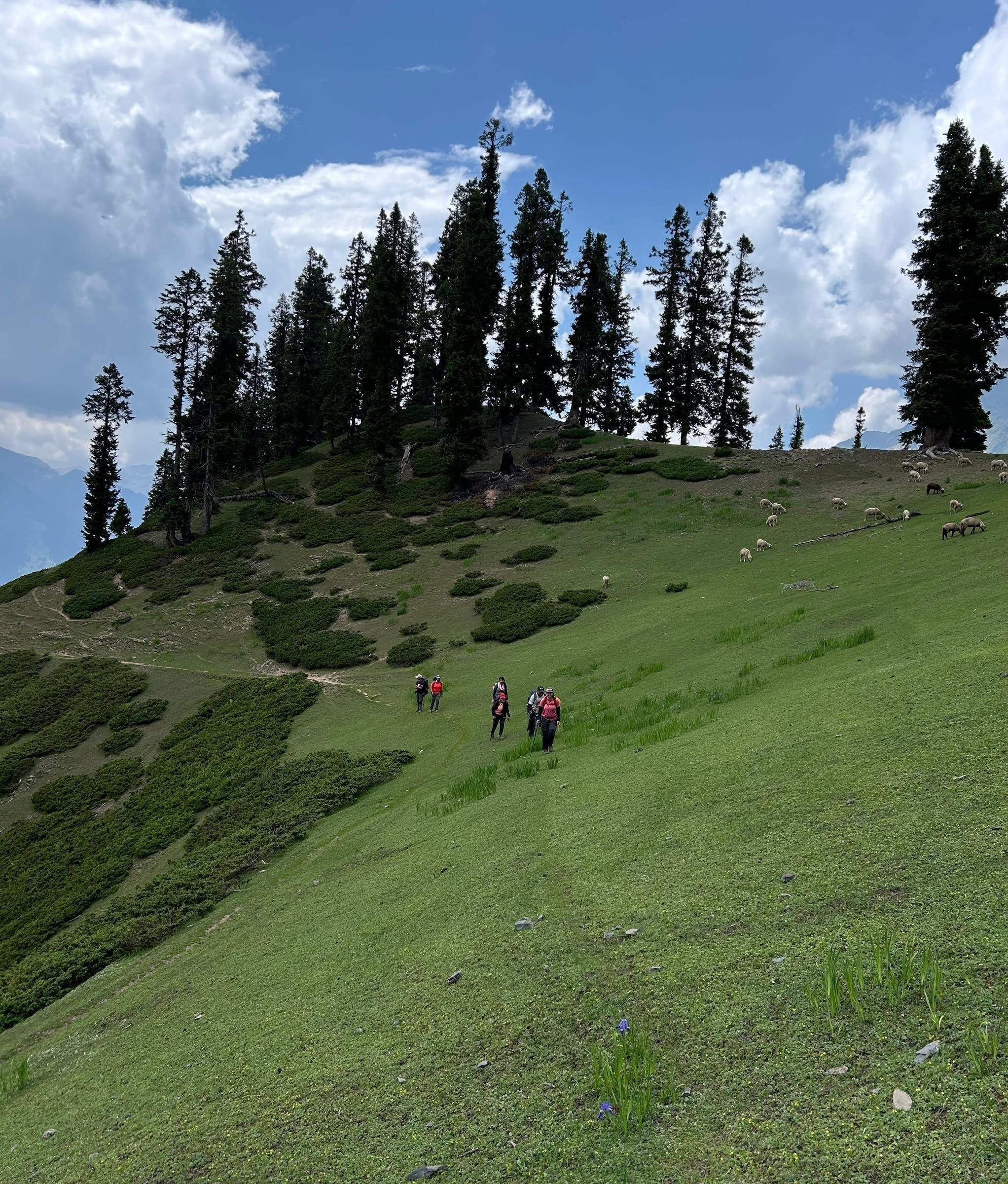 Nafran Valley Trek thumbnail 5